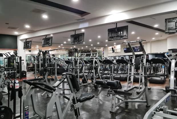 Sport City Polanco, foto de portada