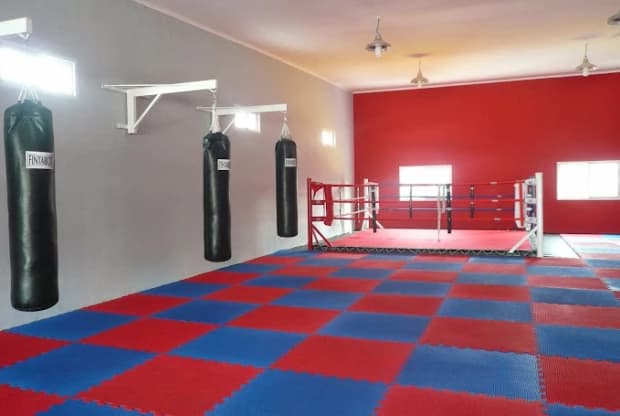 Willie Pep Gimnasio, foto 3