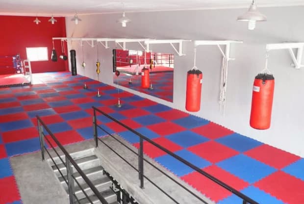 Willie Pep Gimnasio, foto 4
